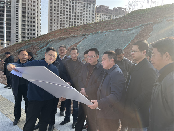 1月19日汪凯县长一行调研集团项目建设（欧宝网页版登录入口大厦）.jpg